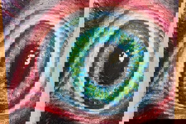 464565871 17872256940207043 6272053678854781453 N